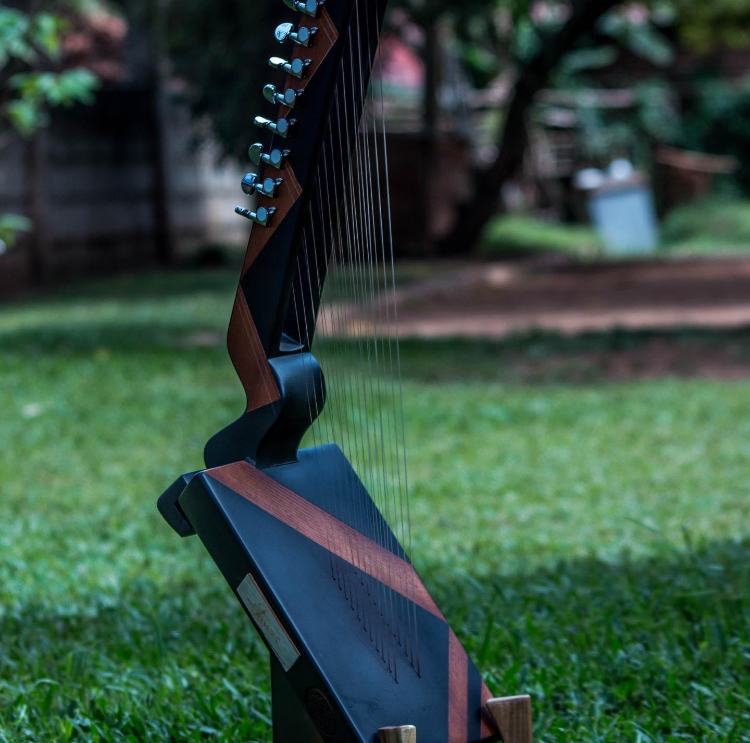 Janzi Instrument